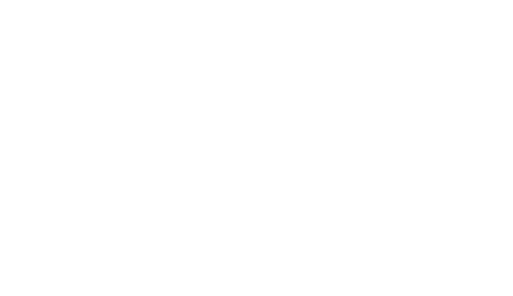 Academic Bridge Program